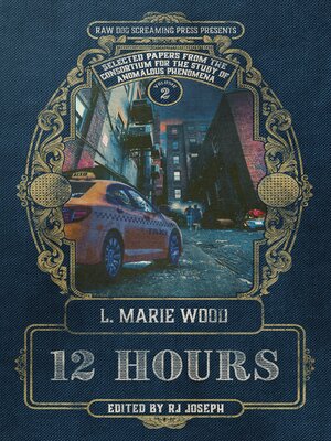 12 Hours - ebook